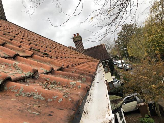 Roof Cleaning (56) - Copy.jpg